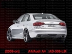 LIP CHIA ĐÔI BÔ MẪU CS AUDI A4 2010

