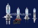 Bóng đèn Night Breaker (Plus 90)

Sáng gần gấp 2 lần bóng đèn theo xe của bạn

An toàn hơn khi chạy xe trong đêm tối ...

