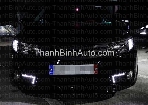 TRANG TRÍ LED ĐÈN GẦM FORTE
