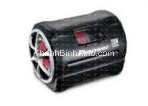 Loa sub Pioneer TS-WX20LPA

