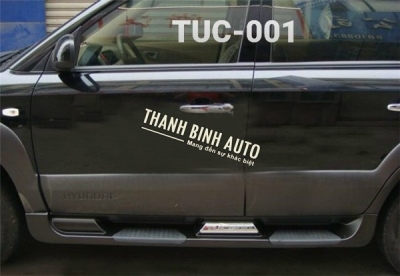 Bậc lên xuống, bệ bước xe TUCSON 2008