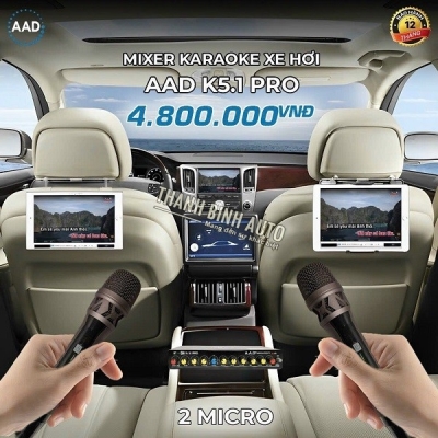 Bộ Mic hát Karaoke trên xe hơi