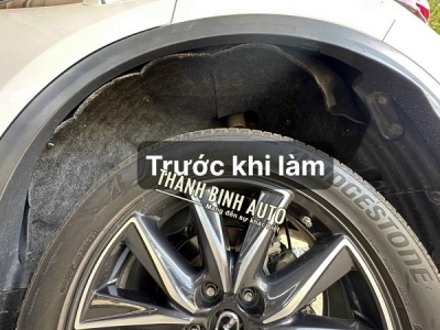 Lòng vè bánh xe đủ loại xe