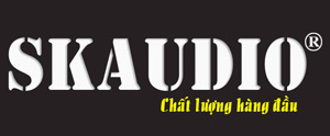 Màn hình DVD SKAUDIO - Chất lượng hàng đầu